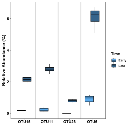 Boxplots In R